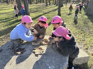 園外保育 ひのまる公園